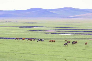 qy千亿-千亿(国际)唯一官方网站