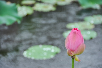 qy千亿-千亿(国际)唯一官方网站