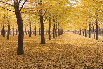 qy千亿-千亿(国际)唯一官方网站