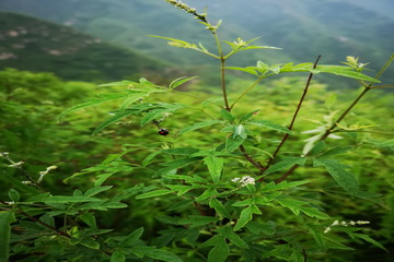 qy千亿-千亿(国际)唯一官方网站