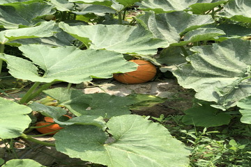 qy千亿-千亿(国际)唯一官方网站