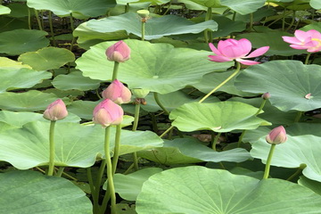 qy千亿-千亿(国际)唯一官方网站