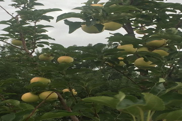 qy千亿-千亿(国际)唯一官方网站