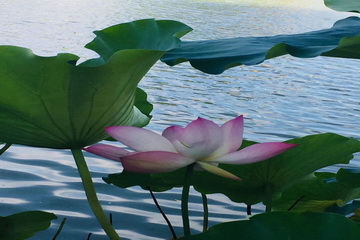 qy千亿-千亿(国际)唯一官方网站