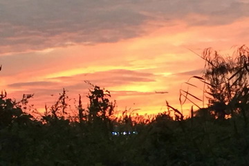 qy千亿-千亿(国际)唯一官方网站