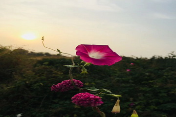 qy千亿-千亿(国际)唯一官方网站