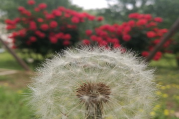 qy千亿-千亿(国际)唯一官方网站