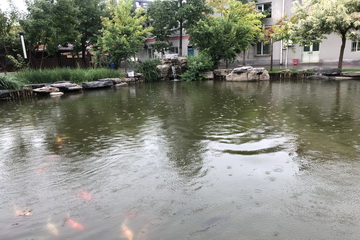 qy千亿-千亿(国际)唯一官方网站