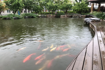 qy千亿-千亿(国际)唯一官方网站