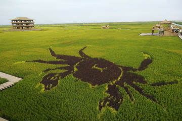 qy千亿-千亿(国际)唯一官方网站