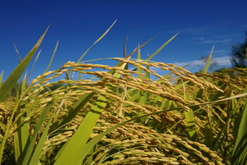 qy千亿-千亿(国际)唯一官方网站