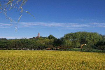 qy千亿-千亿(国际)唯一官方网站