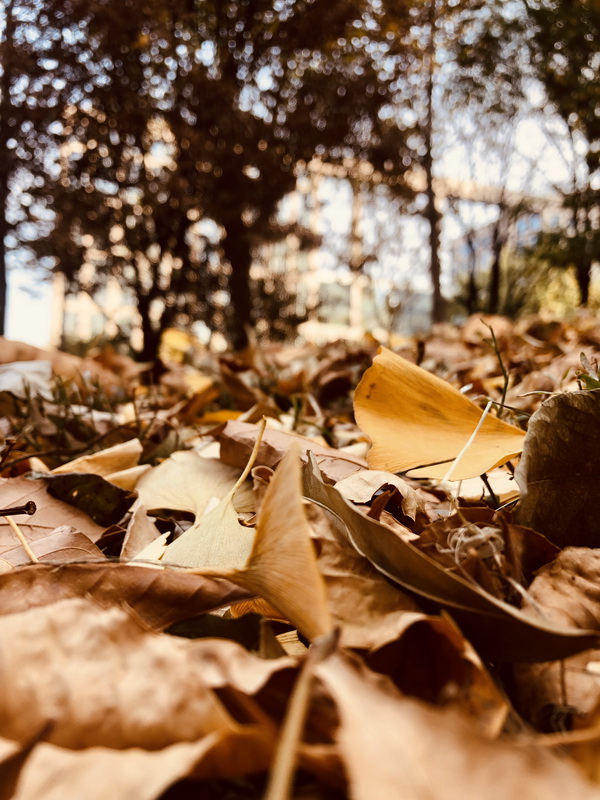 qy千亿-千亿(国际)唯一官方网站