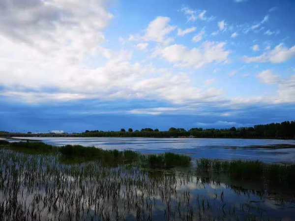 qy千亿-千亿(国际)唯一官方网站