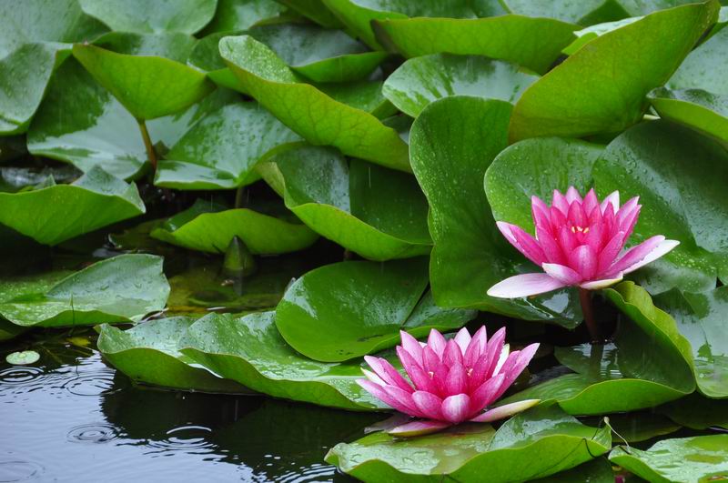 qy千亿-千亿(国际)唯一官方网站