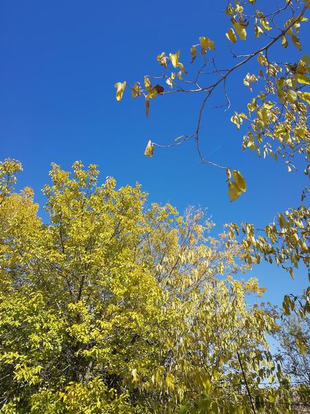 qy千亿-千亿(国际)唯一官方网站