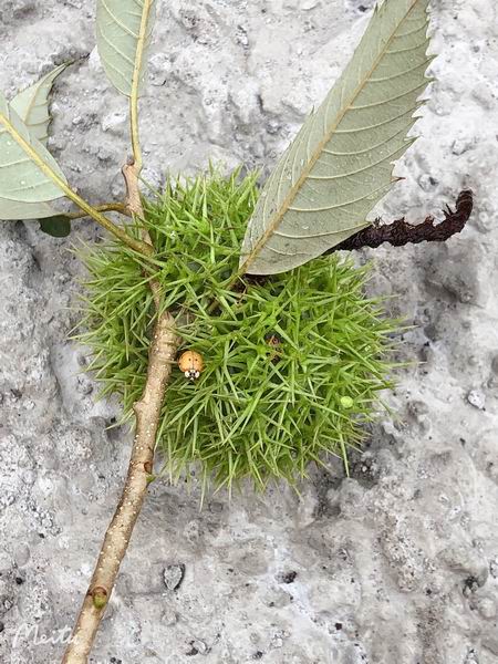 qy千亿-千亿(国际)唯一官方网站