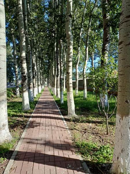 qy千亿-千亿(国际)唯一官方网站