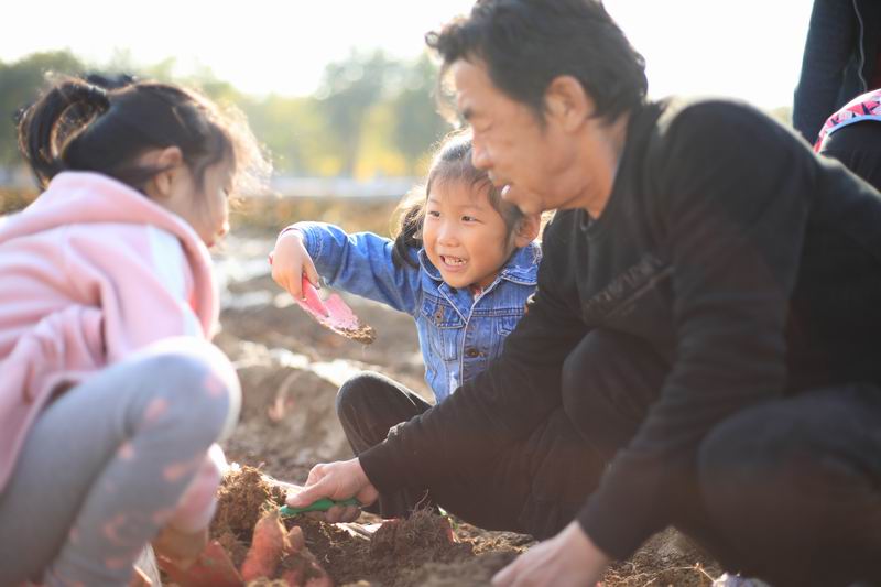 qy千亿-千亿(国际)唯一官方网站