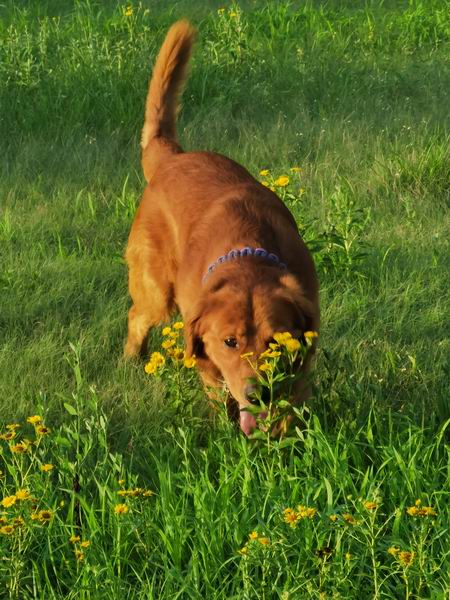 qy千亿-千亿(国际)唯一官方网站