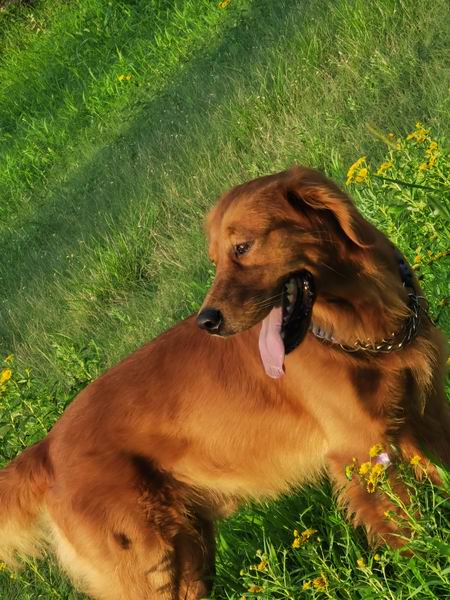 qy千亿-千亿(国际)唯一官方网站