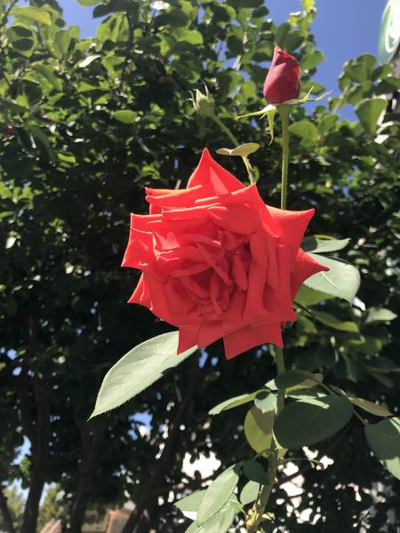 qy千亿-千亿(国际)唯一官方网站