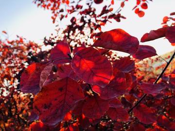 qy千亿-千亿(国际)唯一官方网站