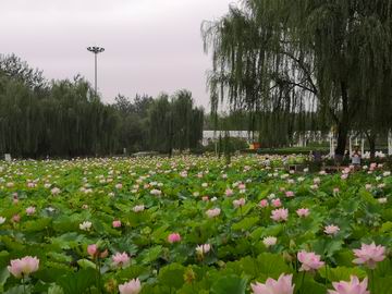 qy千亿-千亿(国际)唯一官方网站