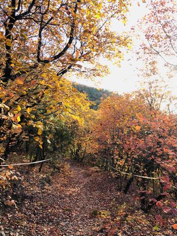 qy千亿-千亿(国际)唯一官方网站