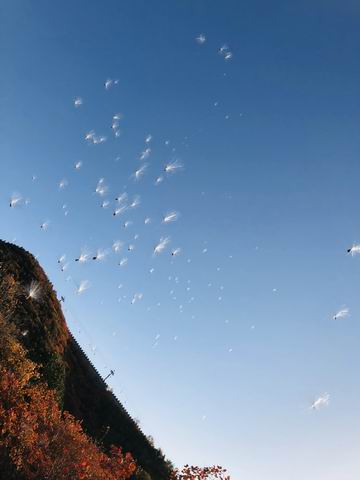 qy千亿-千亿(国际)唯一官方网站