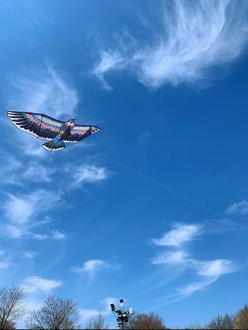 qy千亿-千亿(国际)唯一官方网站