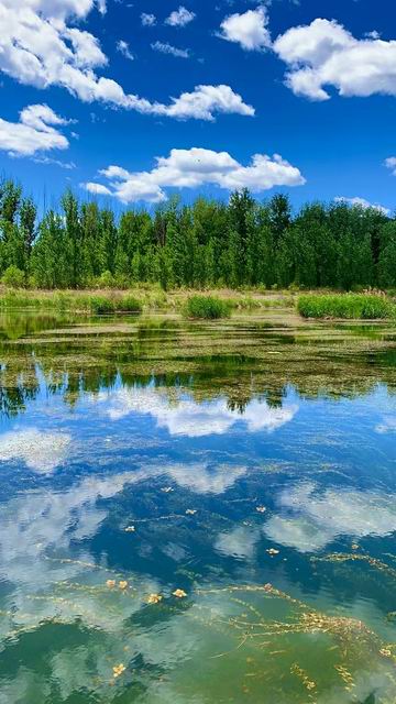 qy千亿-千亿(国际)唯一官方网站