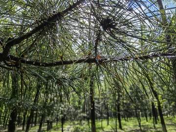 qy千亿-千亿(国际)唯一官方网站