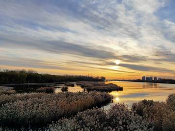 qy千亿-千亿(国际)唯一官方网站