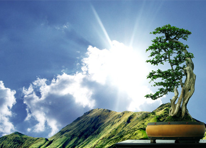 qy千亿-千亿(国际)唯一官方网站