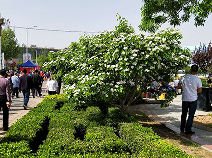 qy千亿-千亿(国际)唯一官方网站