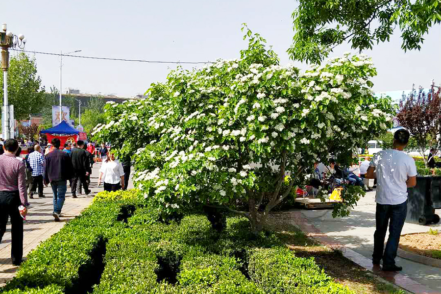 qy千亿-千亿(国际)唯一官方网站