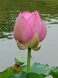 qy千亿-千亿(国际)唯一官方网站