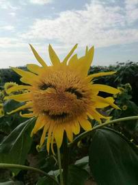 qy千亿-千亿(国际)唯一官方网站