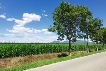 qy千亿-千亿(国际)唯一官方网站