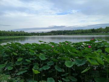 qy千亿-千亿(国际)唯一官方网站