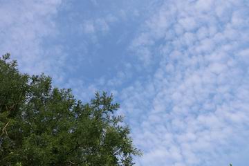 qy千亿-千亿(国际)唯一官方网站