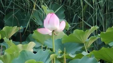 qy千亿-千亿(国际)唯一官方网站