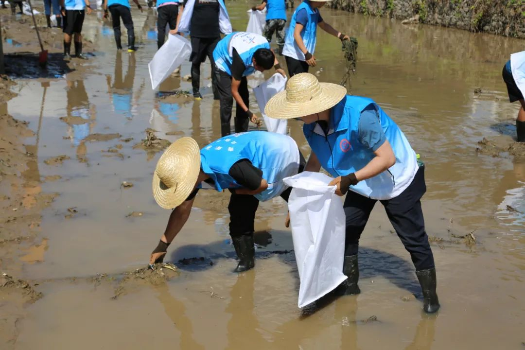 qy千亿-千亿(国际)唯一官方网站